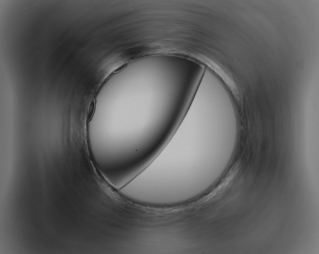 X0000088231289200705151041