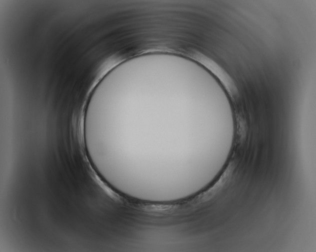 X0000088231290200705151041