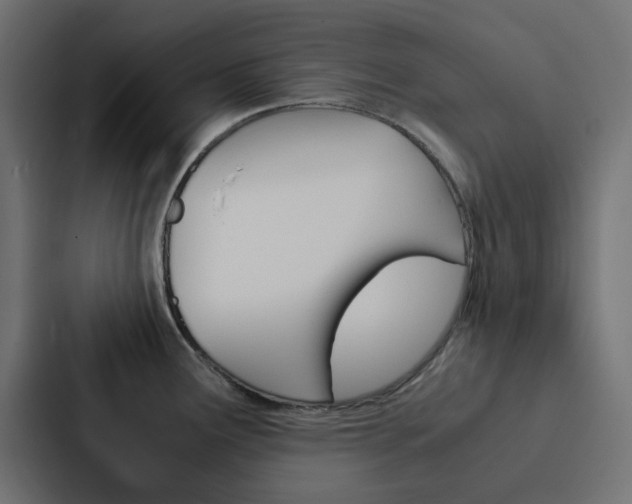 X0000088231291200705151041