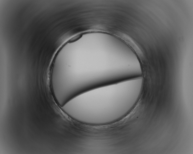 X0000088231292200705151041
