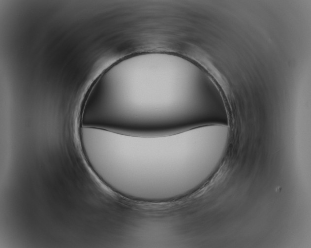 X0000088231293200705151041