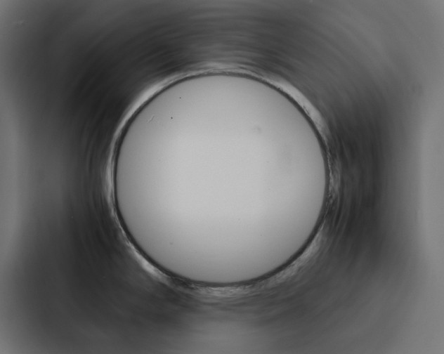 X0000088231294200705151041