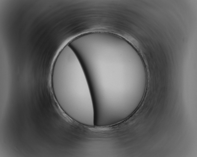 X0000088231296200705151041