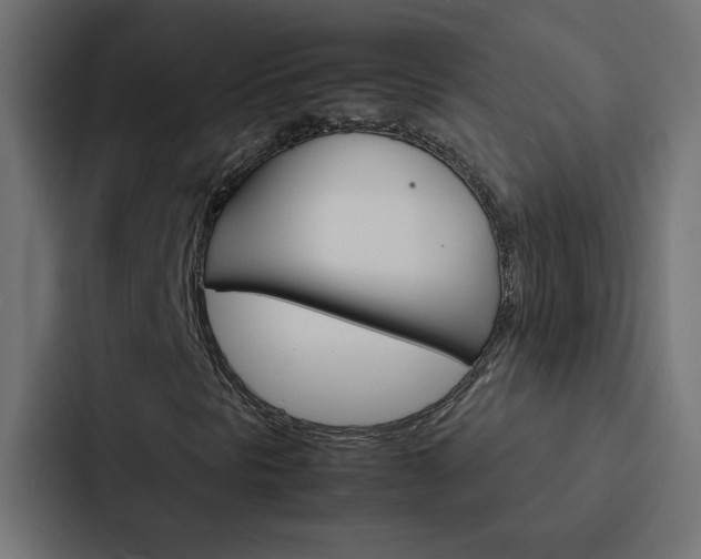 X0000088231297200705151041