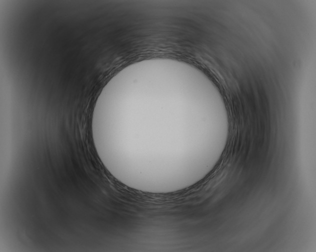 X0000088231298200705151041