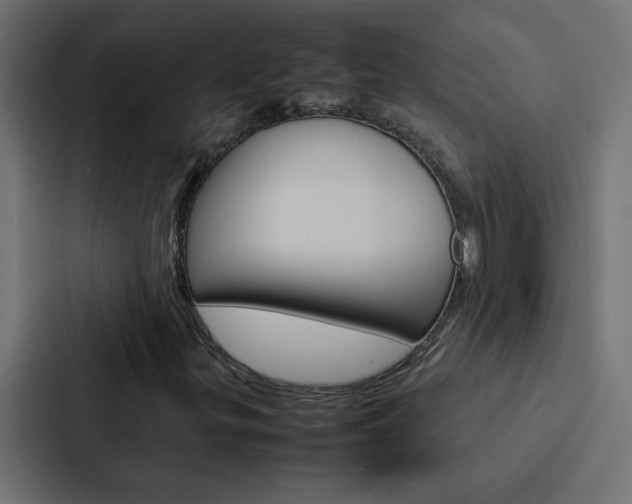 X0000088231299200705151041