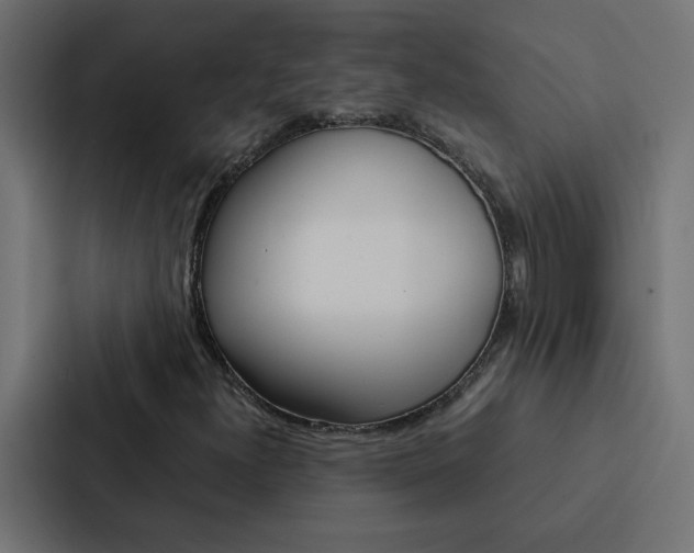 X0000088231300200705151041