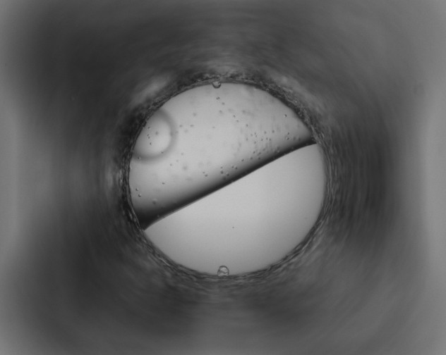 X0000088231302200705151041
