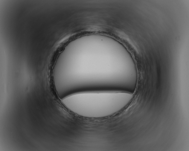 X0000088231304200705151041