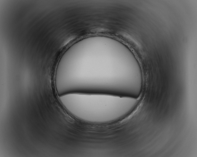 X0000088231305200705151041