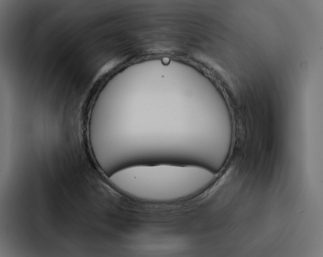 X0000088231306200705151041