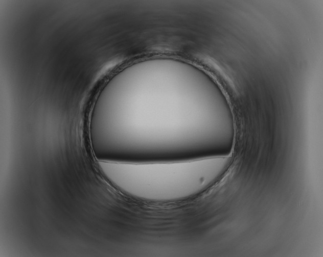 X0000088231307200705151041