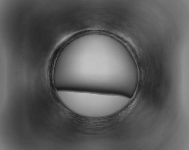 X0000088231311200705151041