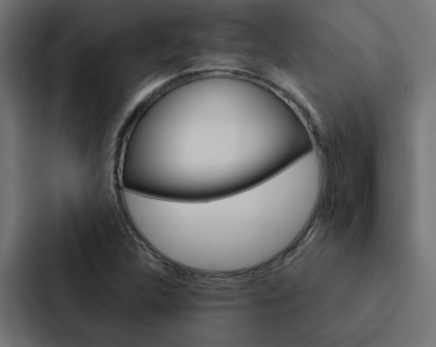 X0000088231312200705151041