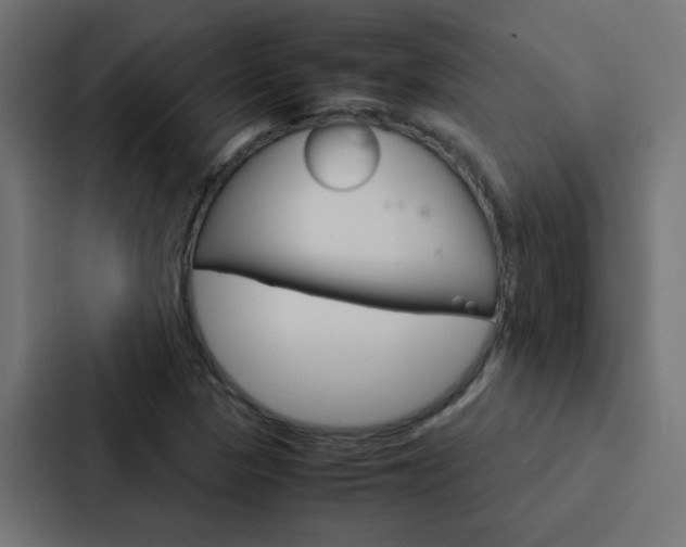 X0000088231313200705151041