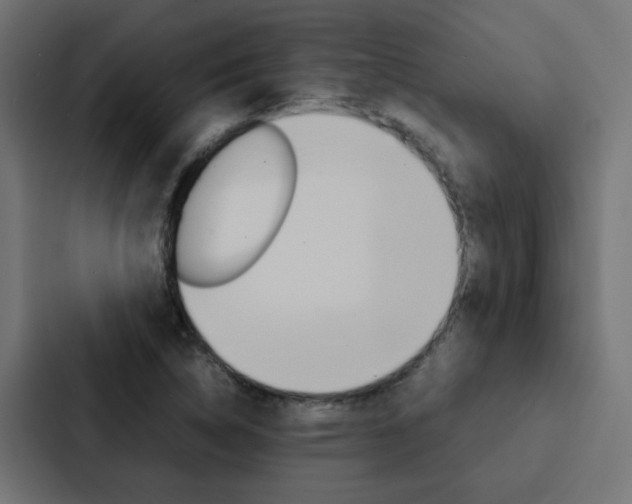 X0000088231314200705151041