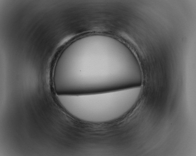 X0000088231315200705151041