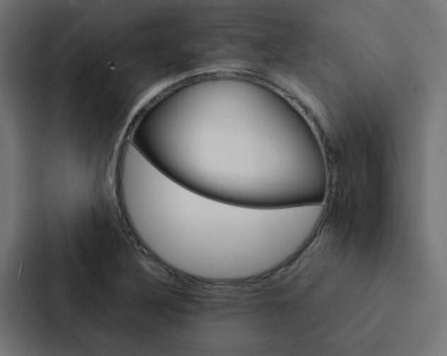 X0000088231316200705151041
