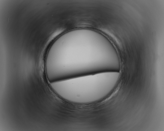 X0000088231317200705151041