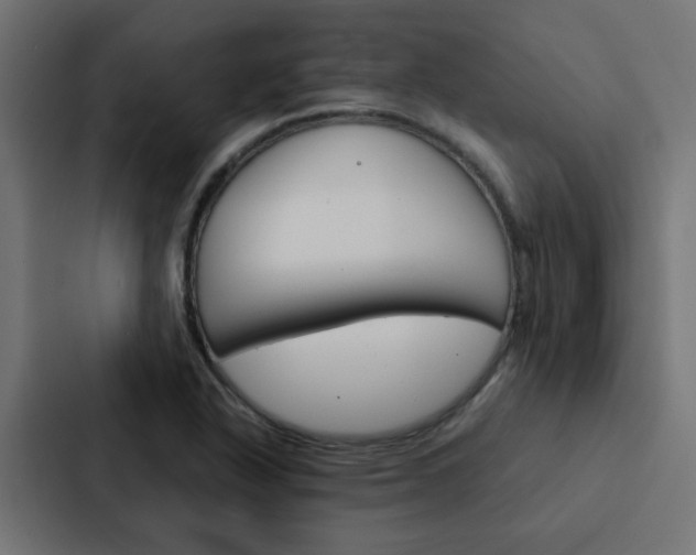 X0000088231318200705151041