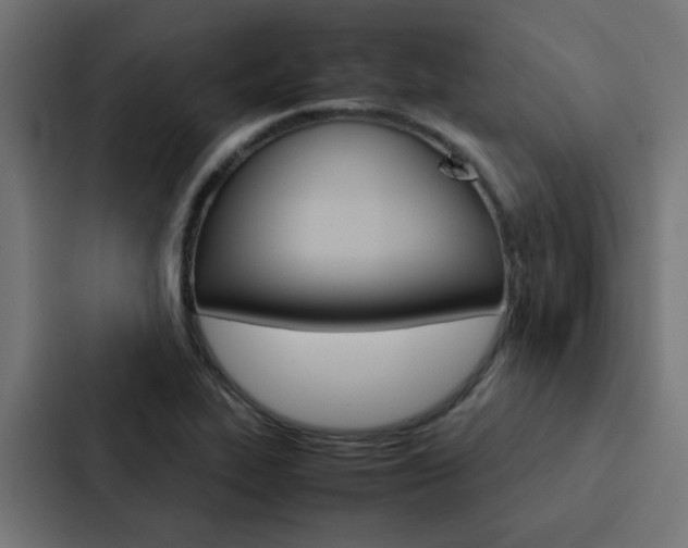 X0000088231319200705151041
