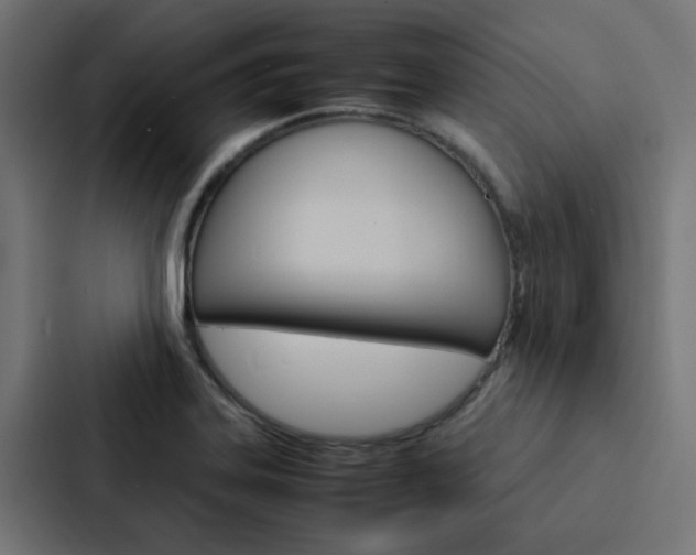 X0000088231323200705151041