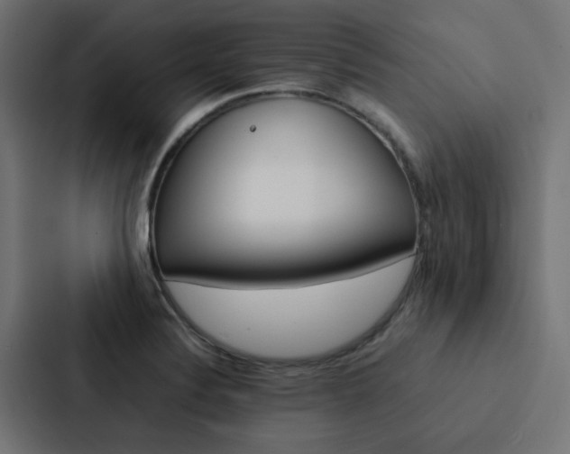 X0000088231324200705151041