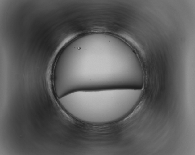X0000088231325200705151041