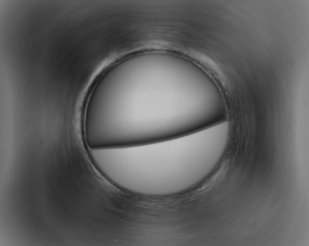 X0000088231326200705151041