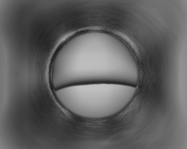 X0000088231327200705151041