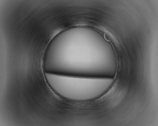 X0000088231329200705151041