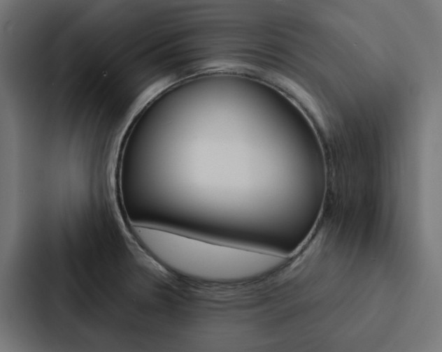 X0000088231330200705151041
