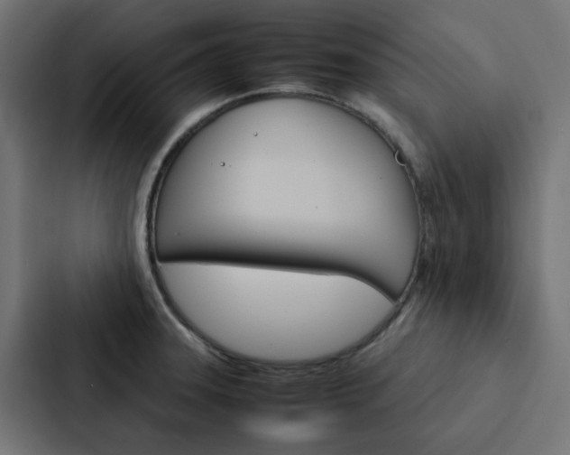 X0000088231331200705151041
