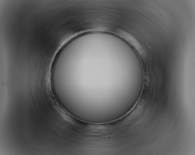 X0000088231332200705151041