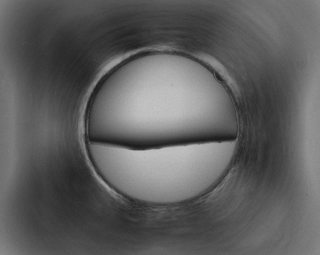 X0000088231335200705151041