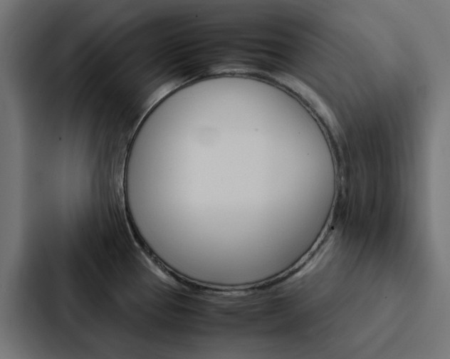 X0000088231337200705151041