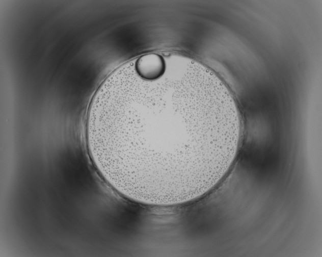 X0000088231338200705151041
