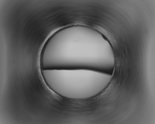 X0000088231339200705151041