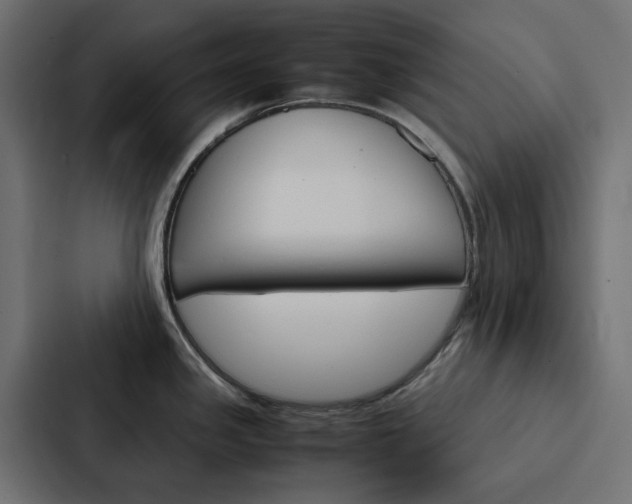 X0000088231341200705151041
