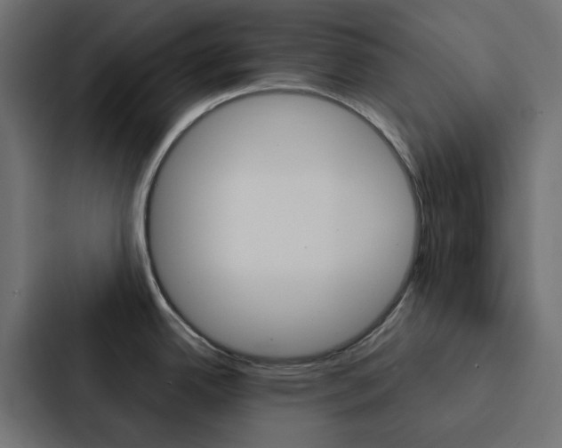X0000088231342200705151041