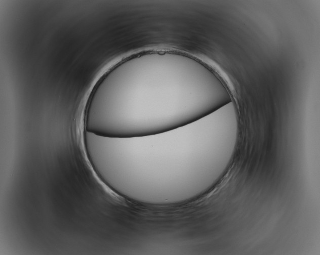 X0000088231343200705151041