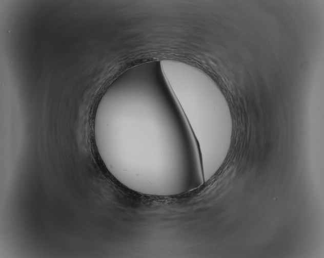 X0000088231345200705151041