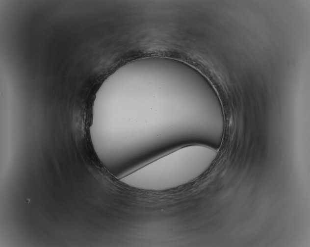 X0000088231348200705151041