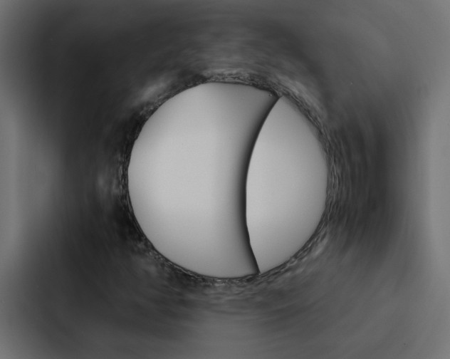 X0000088231350200705151041