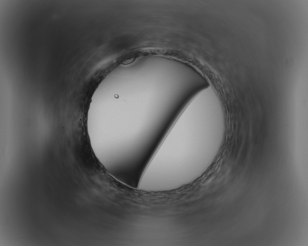 X0000088231351200705151041