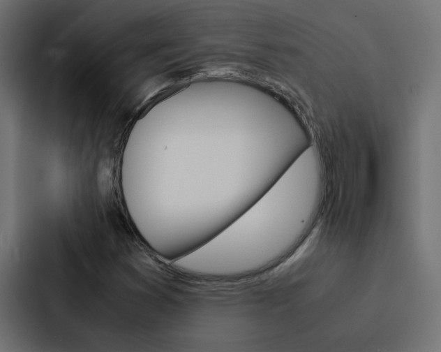 X0000088231353200705151041