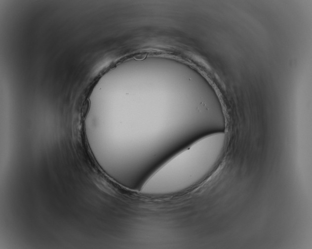 X0000088231355200705151040