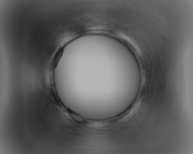 X0000088231357200705151040