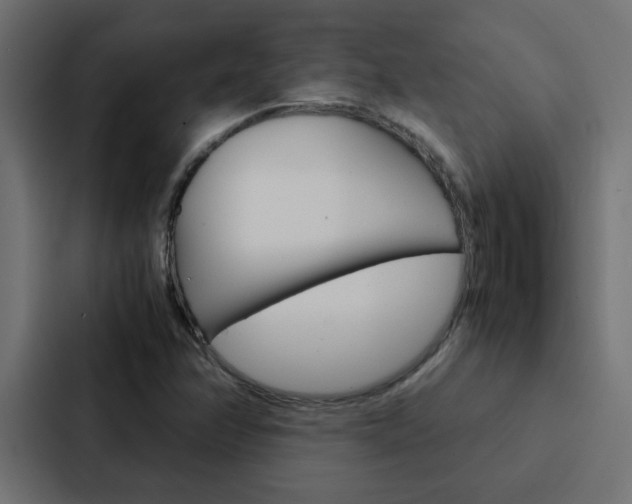 X0000088231358200705151040