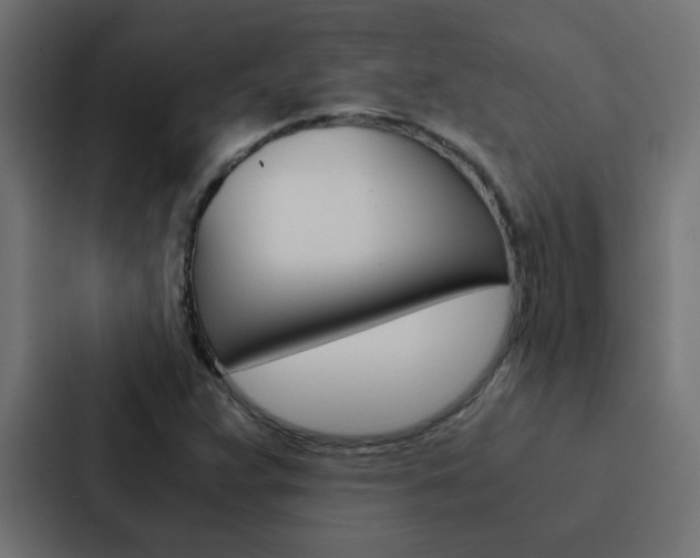 X0000088231359200705151040